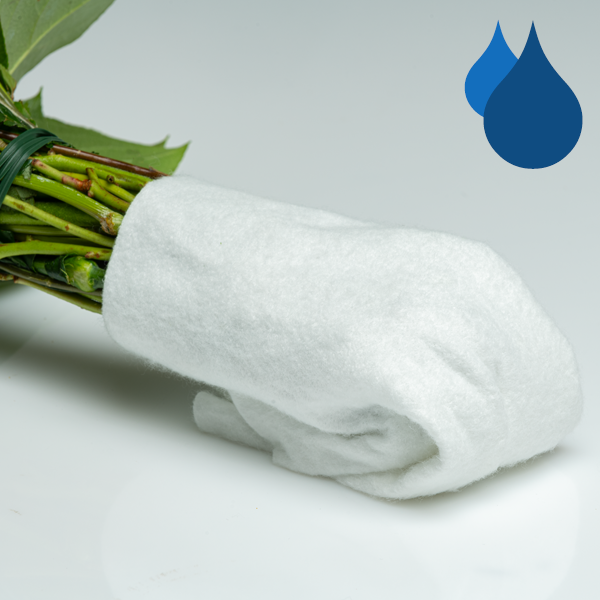 floraprima Premium-Rosenstrauß mit Vase Schlussverkauf