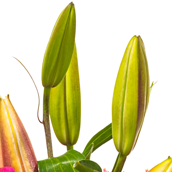 floraprima Trauerkranz mit rosa Lilien Versandkostenfrei