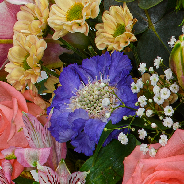 floraprima Premiumstrauß Meisterwerk mit Premiumvase & Ferrero Giotto 3er Online Shopping