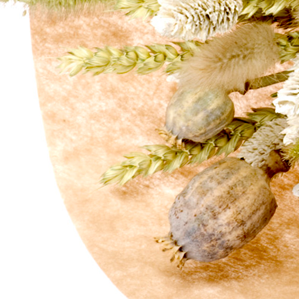 floraprima Trockenstrauß Delightful Saisonschlussverkauf