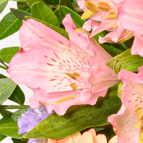 floraprima Blumenstrauß Muttertagstraum mit Vase & Ferrero Giotto 3er Lagerräumung