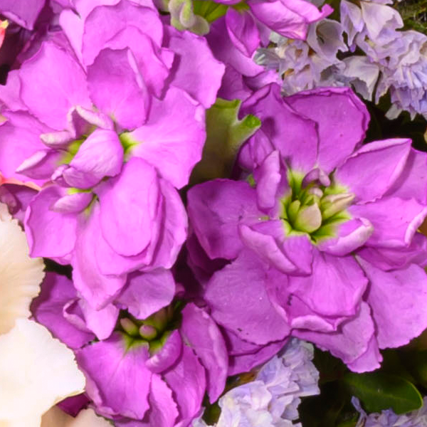 floraprima Blumenstrauß Muttertagstraum mit Vase & Ferrero Giotto 3er Lagerräumung