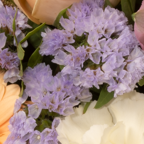 floraprima Blumenstrauß Blütenschönheit mit Vase & Ferrero Giotto 3er Heißer Verkauf