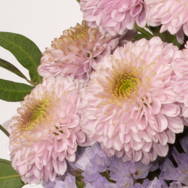 floraprima Blumenstrauß Blütenschönheit mit Vase & Ferrero Giotto 3er Heißer Verkauf