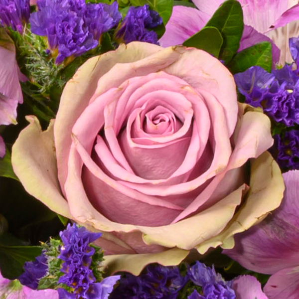 floraprima Blumenstrauß Danke mit Vase & Ferrero Giotto 3er Top Angebot