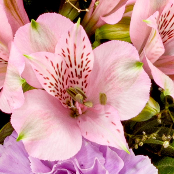 floraprima Premiumstrauß Blütenstar mit Premiumvase & Ferrero Giotto 3er Blitzangebot