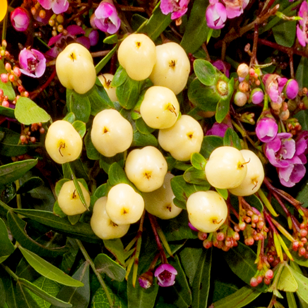floraprima Blumenstrauß Herzenswärme mit Vase & Ferrero Giotto 3er Räumungsverkauf