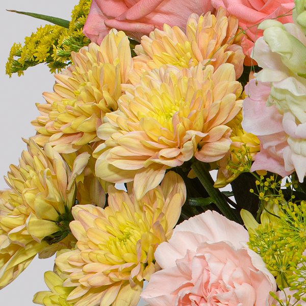 floraprima Premiumstrauß Prachtvoll mit Premiumvase & Ferrero Giotto 3er Kostenlose Rückgabe