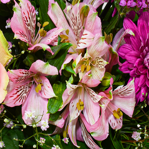 floraprima Blumenstrauß Muttertagszauber mit Vase & Ferrero Giotto 3er Letzte 3 Tage