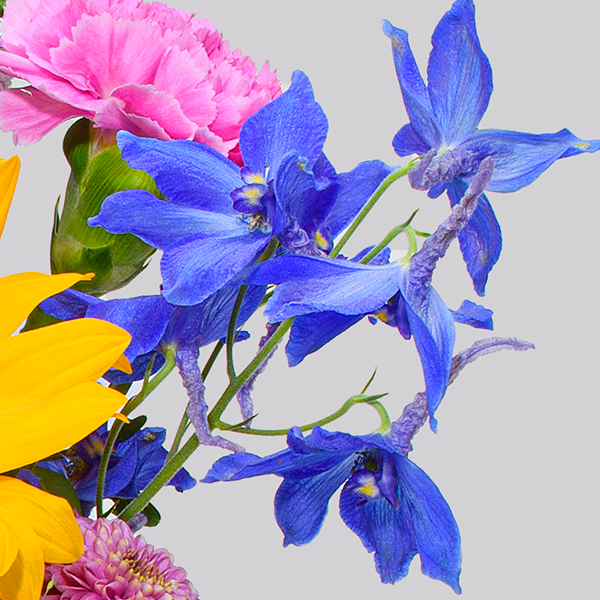 floraprima Blumenstrauß Lovely mit Vase & Ferrero Giotto 3er JETZT KAUFEN