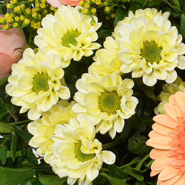 floraprima Blumenstrauß Zarte Grüße mit Vase & Ferrero Giotto 3er Neueste Stile