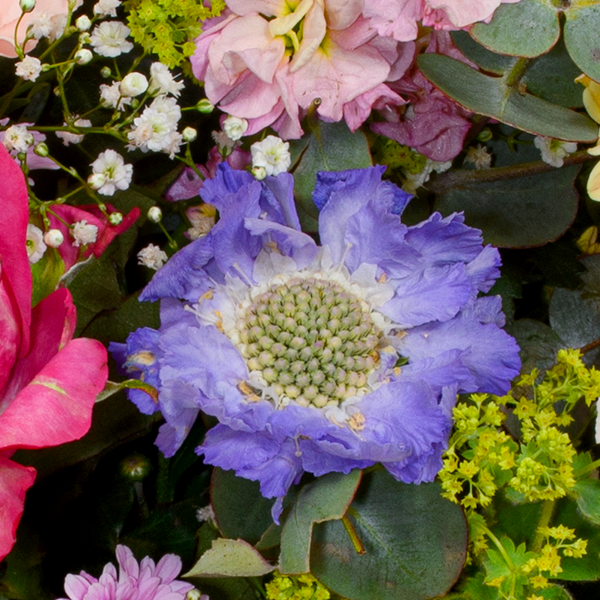 floraprima Premiumstrauß zum Muttertag mit Premiumvase & Ferrero Giotto 3er Letzter Tag