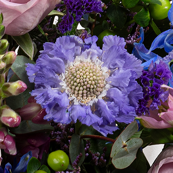 floraprima Premiumstrauß Blütenmelodie mit Premiumvase & Ferrero Giotto 3er Bis zu 50% Rabatt