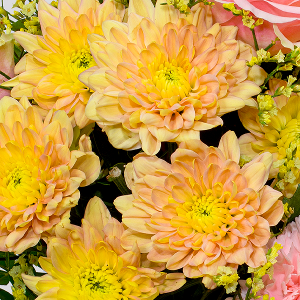 floraprima Blumenstrauß Poesie mit Vase & Ferrero Giotto 3er Bis zu 60% Rabatt