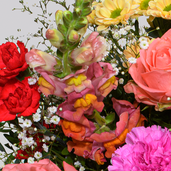 floraprima Premiumstrauß Die Beste mit Premiumvase & Ferrero Giotto 3er Nur für heute