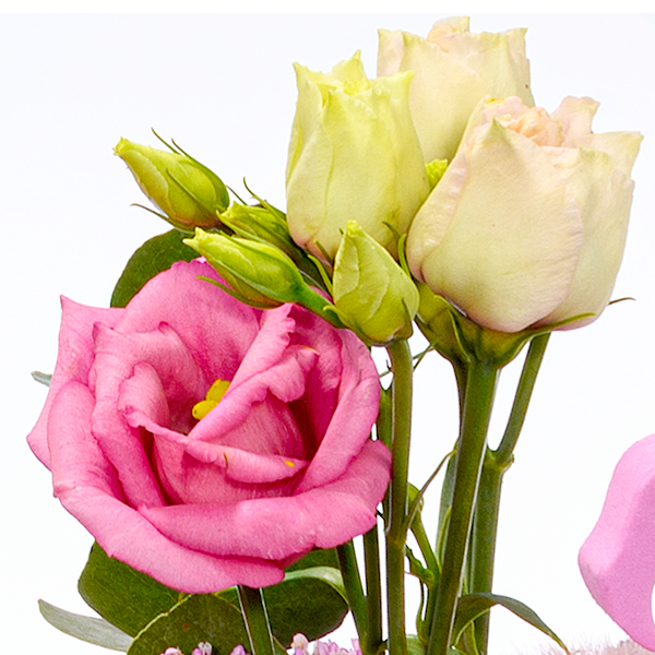 floraprima Blumenstrauß Rosa Himmel mit Vase & Ferrero Giotto 3er Sonderangebot der Fabrik