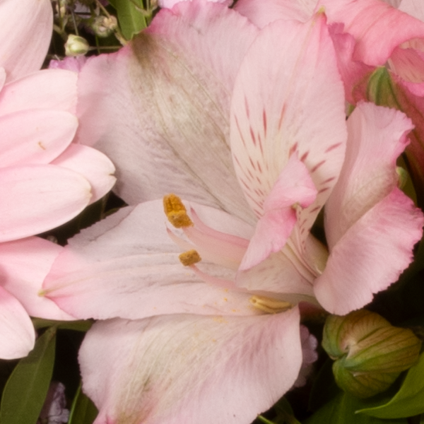 floraprima Blumenstrauß Mutterherz mit Vase & Ferrero Giotto 3er Bis zu 55% Rabatt