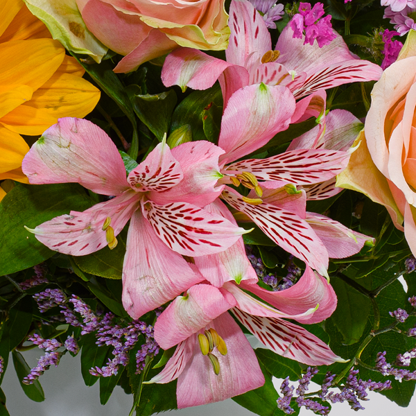 floraprima Blumenstrauß Fabelhaft mit Vase & Ferrero Giotto 3er Riesige Rabatte