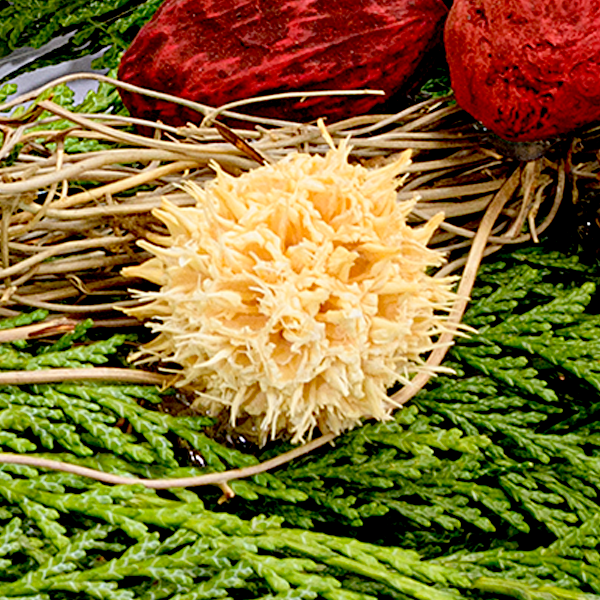 floraprima Trauerkranz Erinnerung Lagerräumung