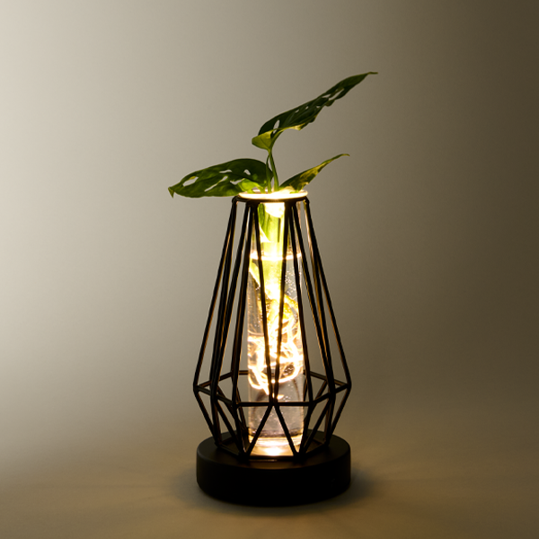 floraprima Waterplant Monstera im Metallgefäß